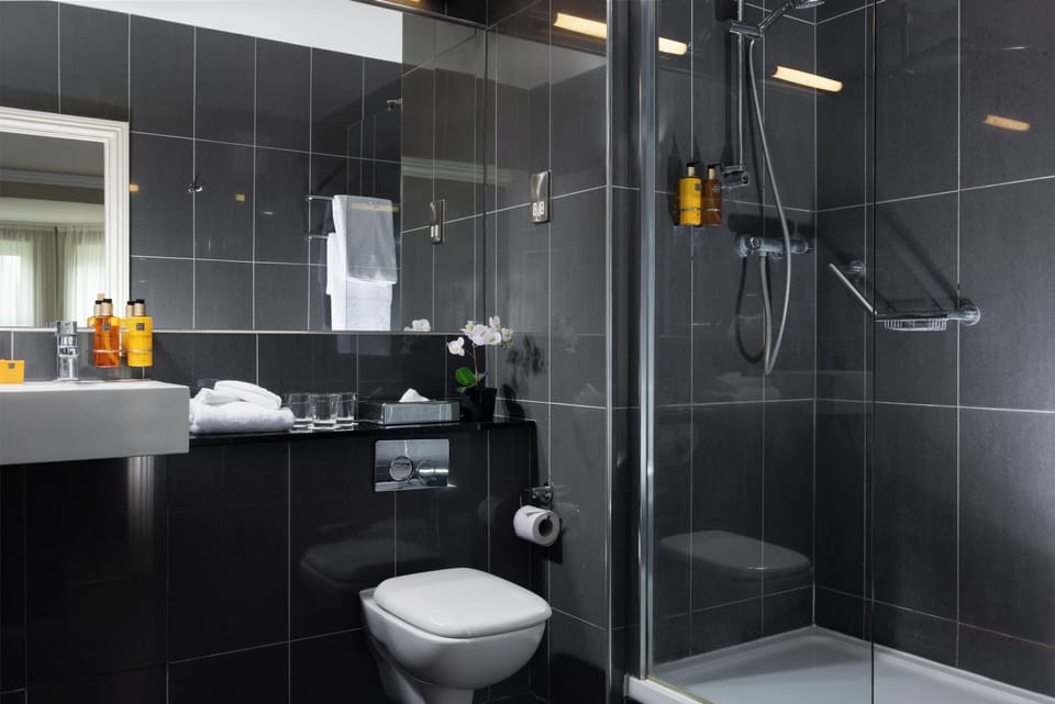 Combined shower/tub, free toiletries, hair dryer, towels