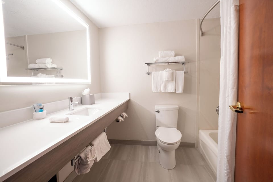 Standard Room | Bathroom | Free toiletries, hair dryer, towels, soap