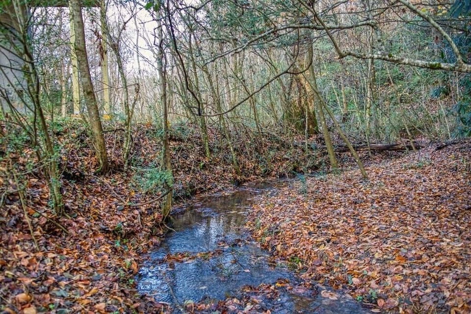 Year round creek on property