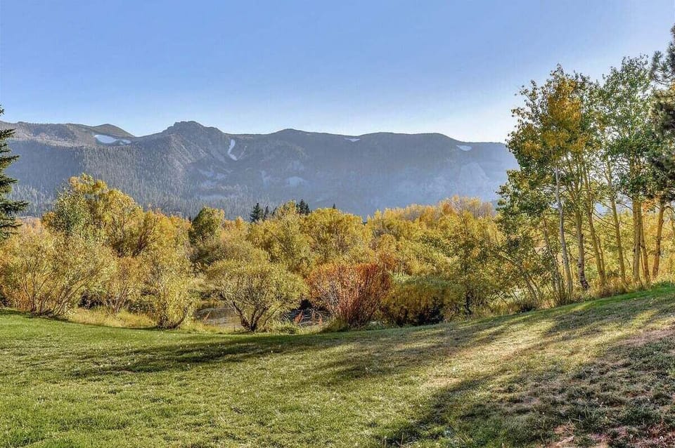 View of meadow and Sherwin Mountains