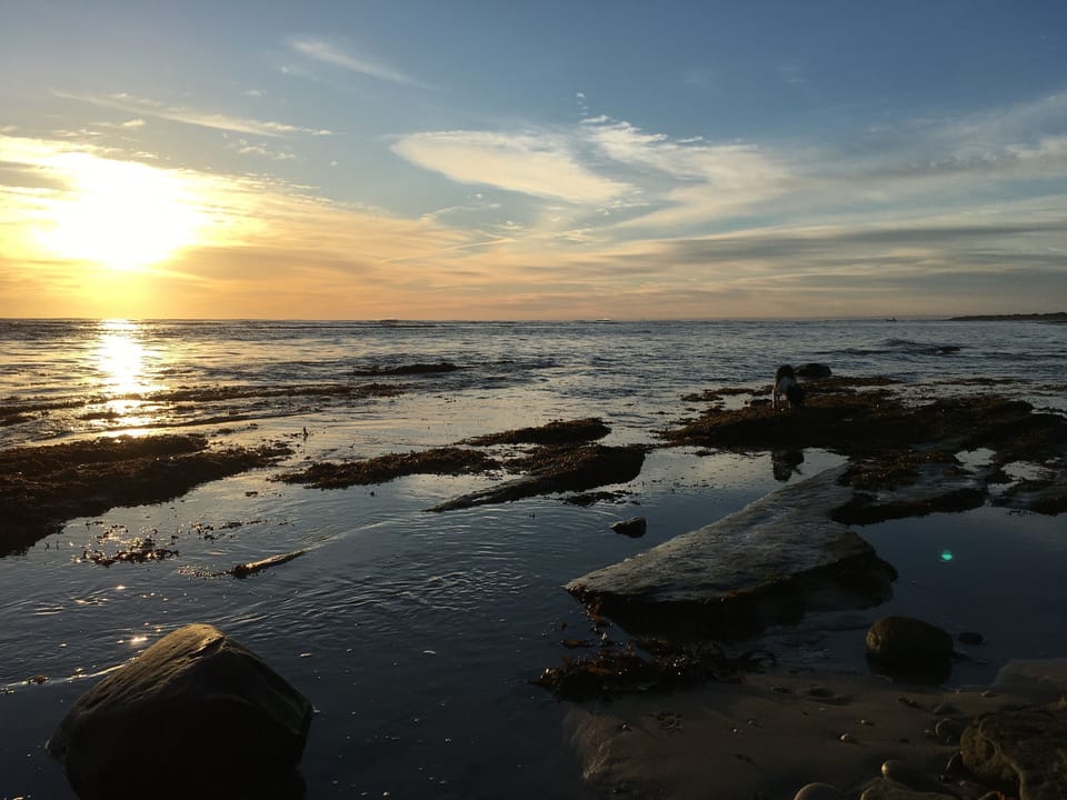 Beach