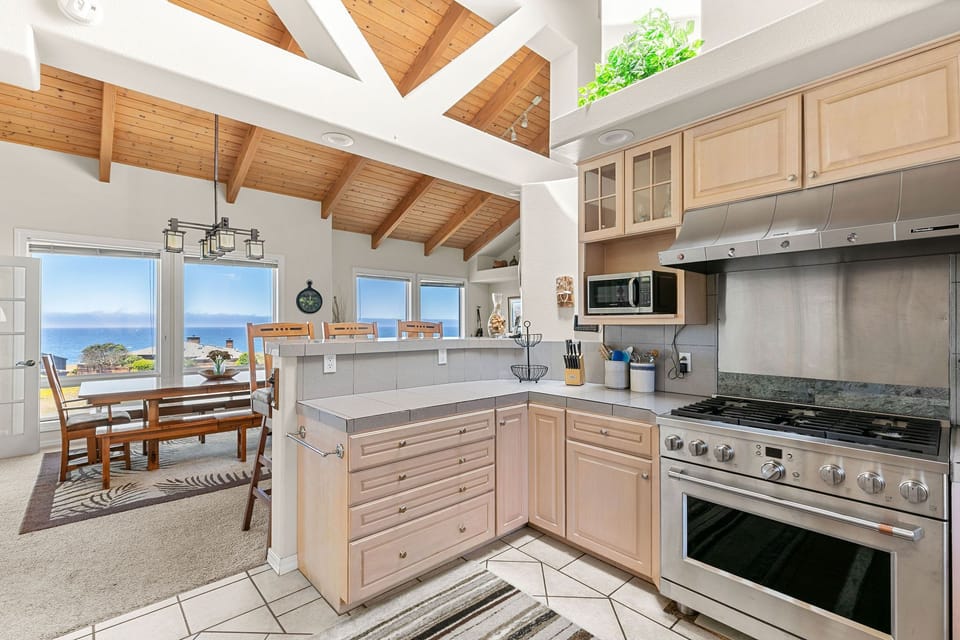 Kitchen with professional appliances