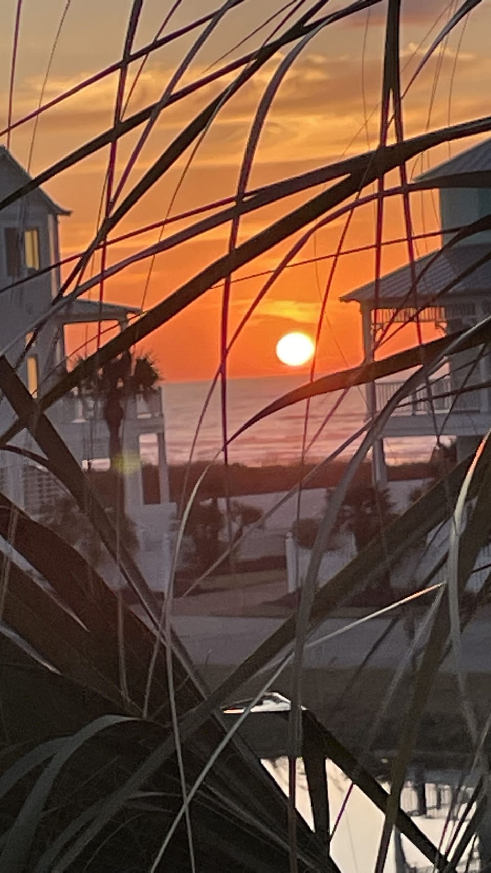 gorgeous sunrises & sunsets