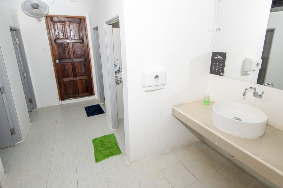 Shower, rainfall showerhead, bidet, toilet paper