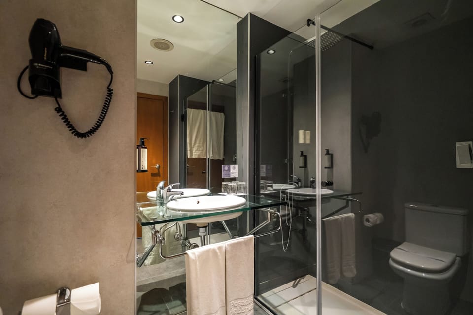 Hair dryer, bidet, towels