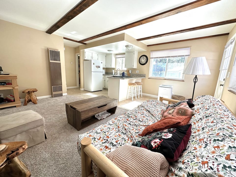 Futon folds out for an extra guest