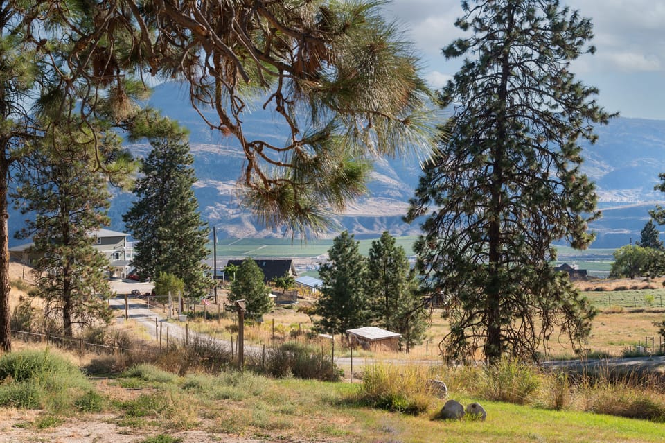 Property views