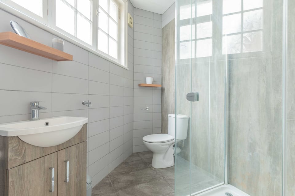 Ground floor bathroom with walk in shower, WC & basin