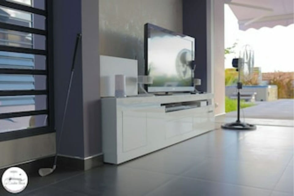 Television
