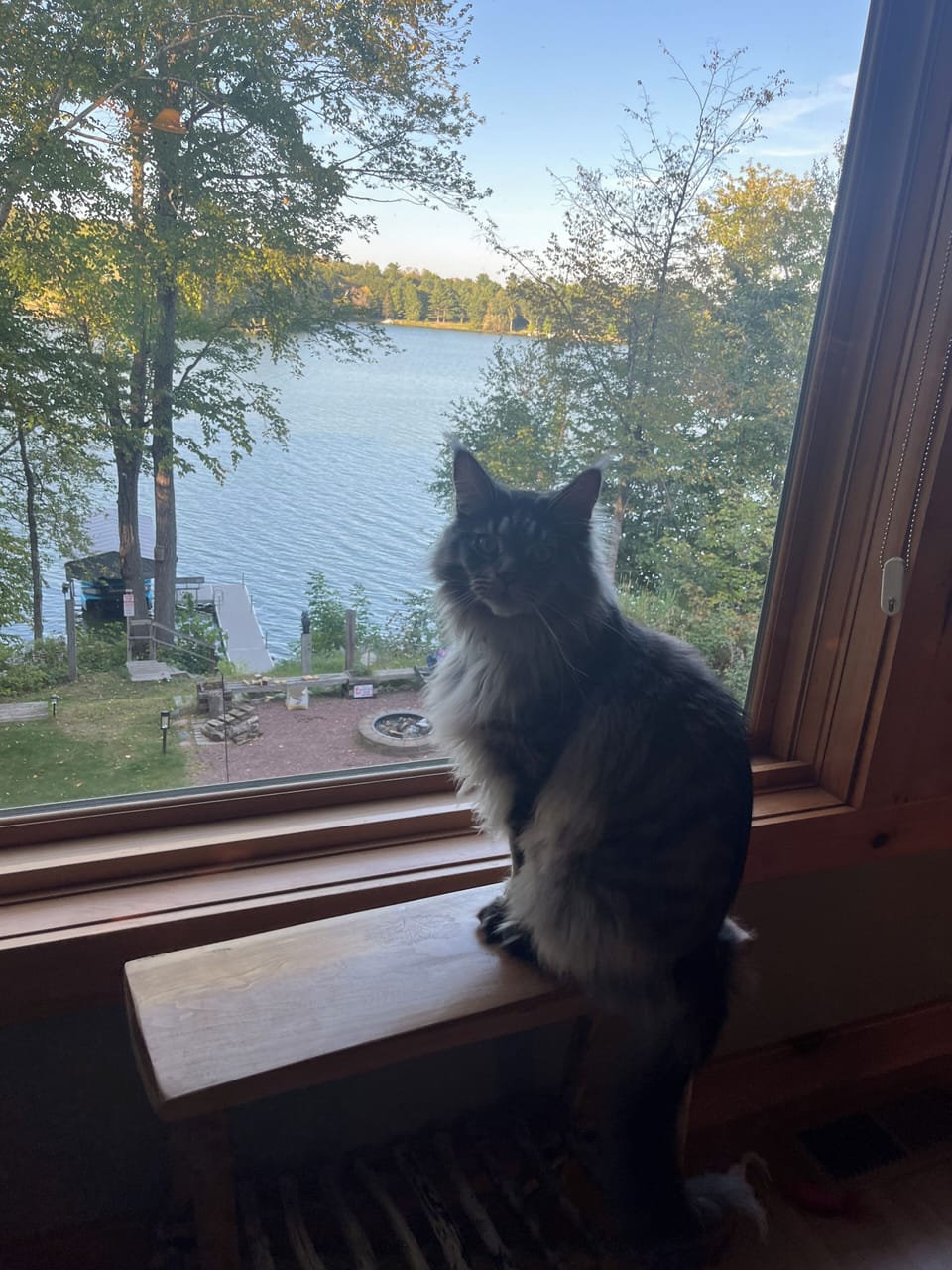 If you have guests allergic to cats/dogs, we bring ours so keep that in mind!