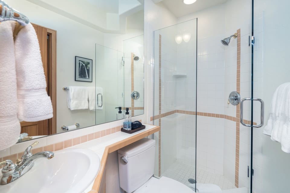 San Sophia Vista 3 Bedroom Townhouse by Alpine Lodging Telluride House in Telluride