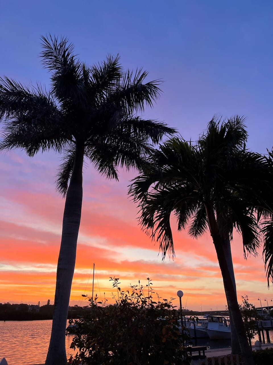 Beautiful sunrise.