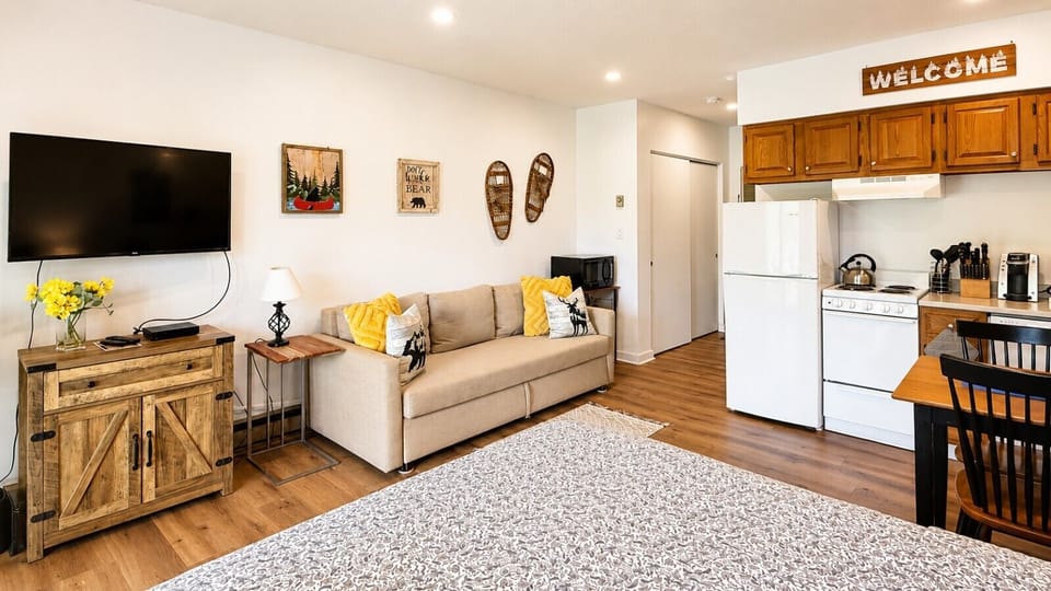 Our Newly remodeled studio with queen sleep sofa