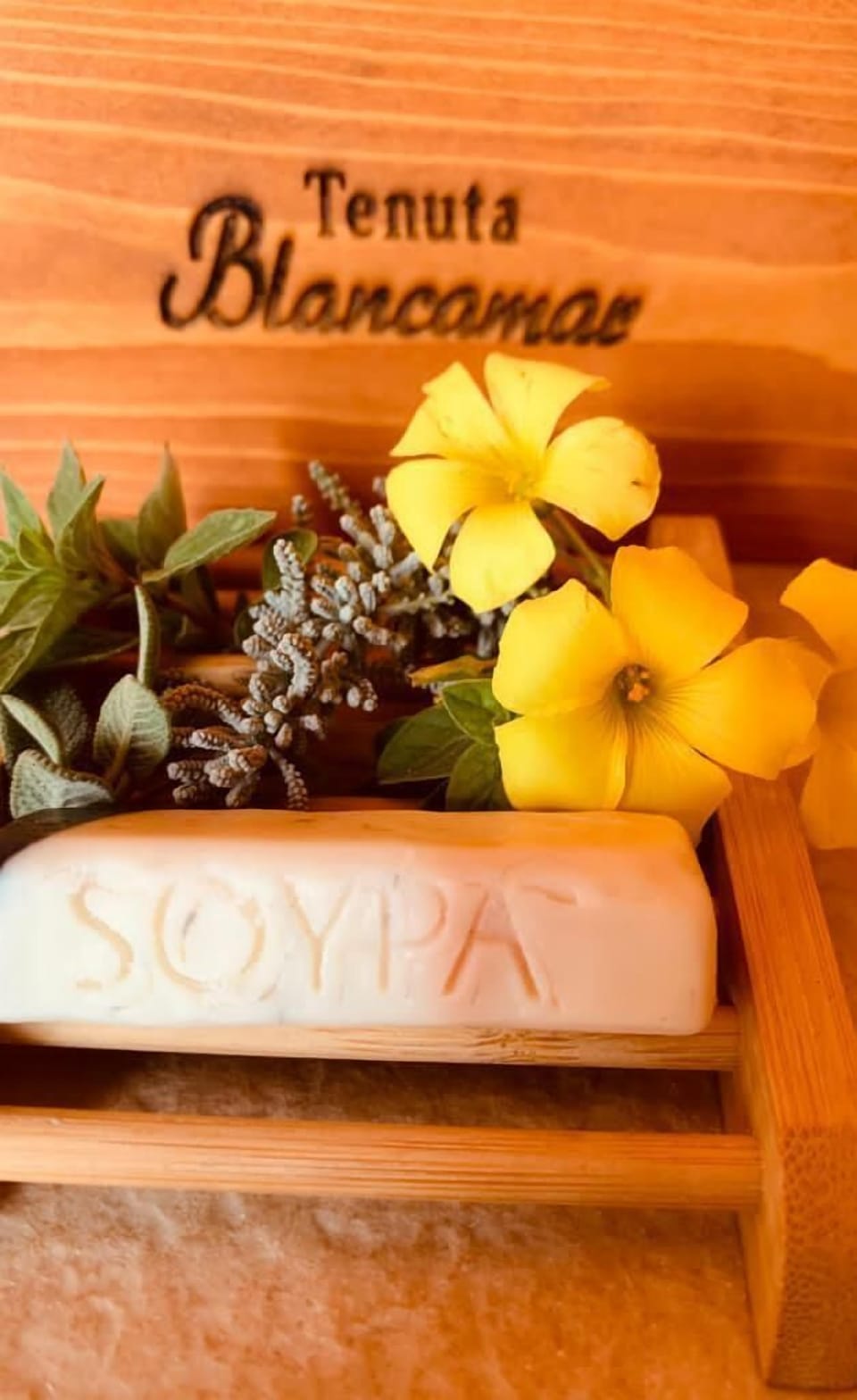 Classic Room | Frette Italian sheets, premium bedding, down comforters, minibar