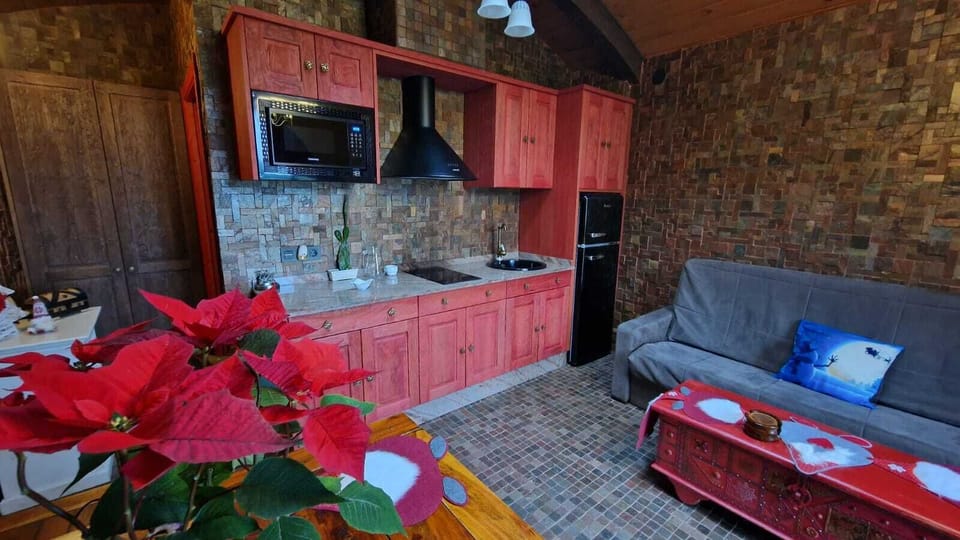 Superior Cabin | Private kitchen