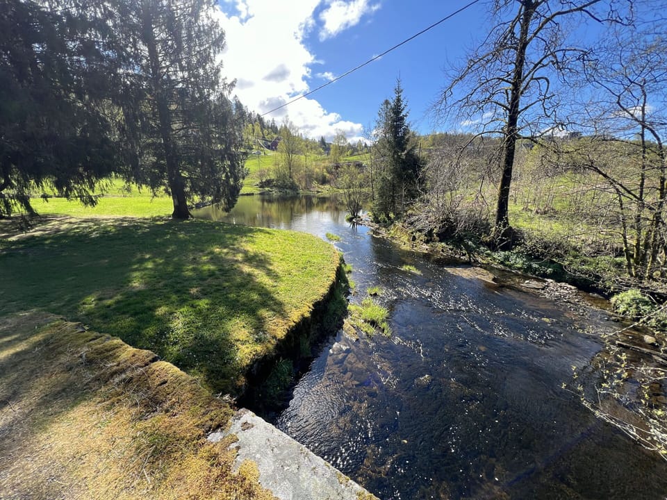 Walking trails accessible from apartment
