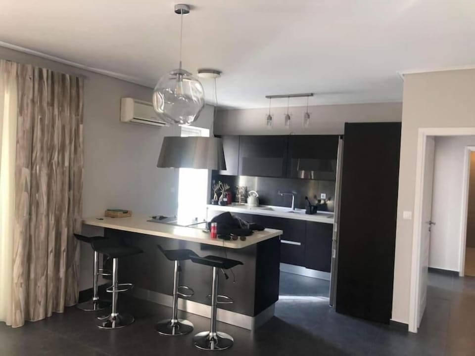 Executive Apartment | Private kitchen | Full-size fridge, microwave, oven, stovetop