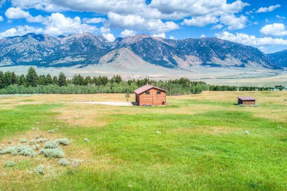 Bf7a8c21 b6ea 403a 94a7 4b201fa6a238