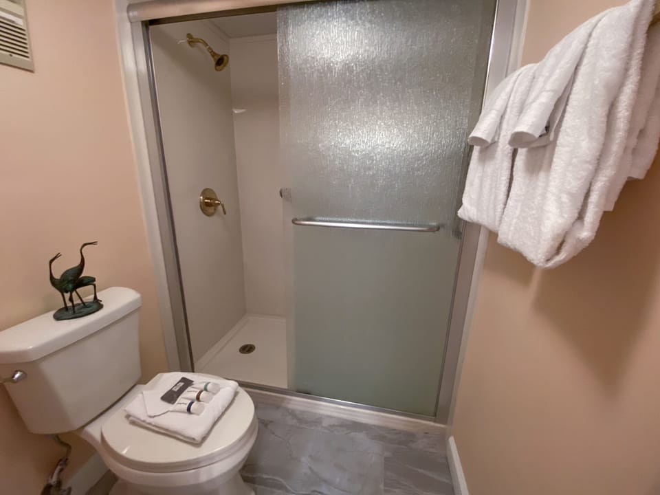 This master bathroom has a walk in shower for your added convienance.