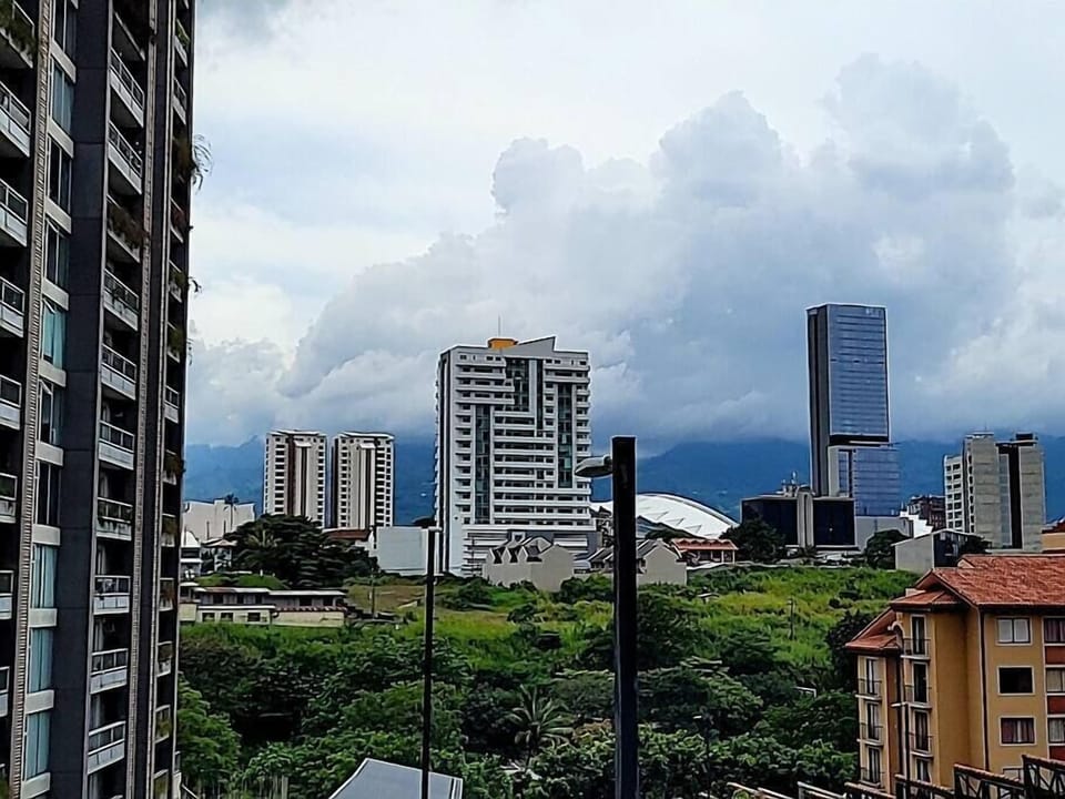 City view (2)