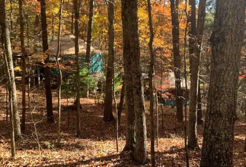 wooded trails surround.. 