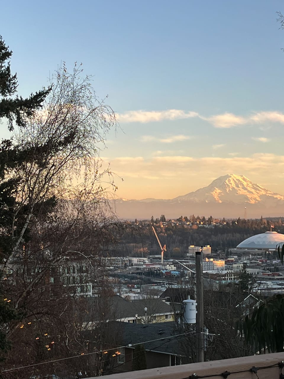 View from property