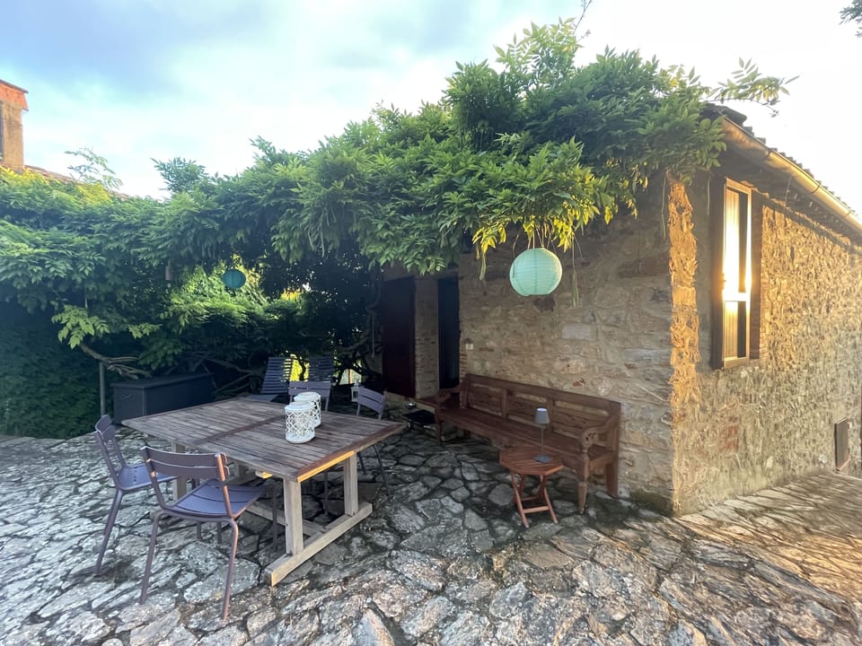 Terrace under a roof of wisteria