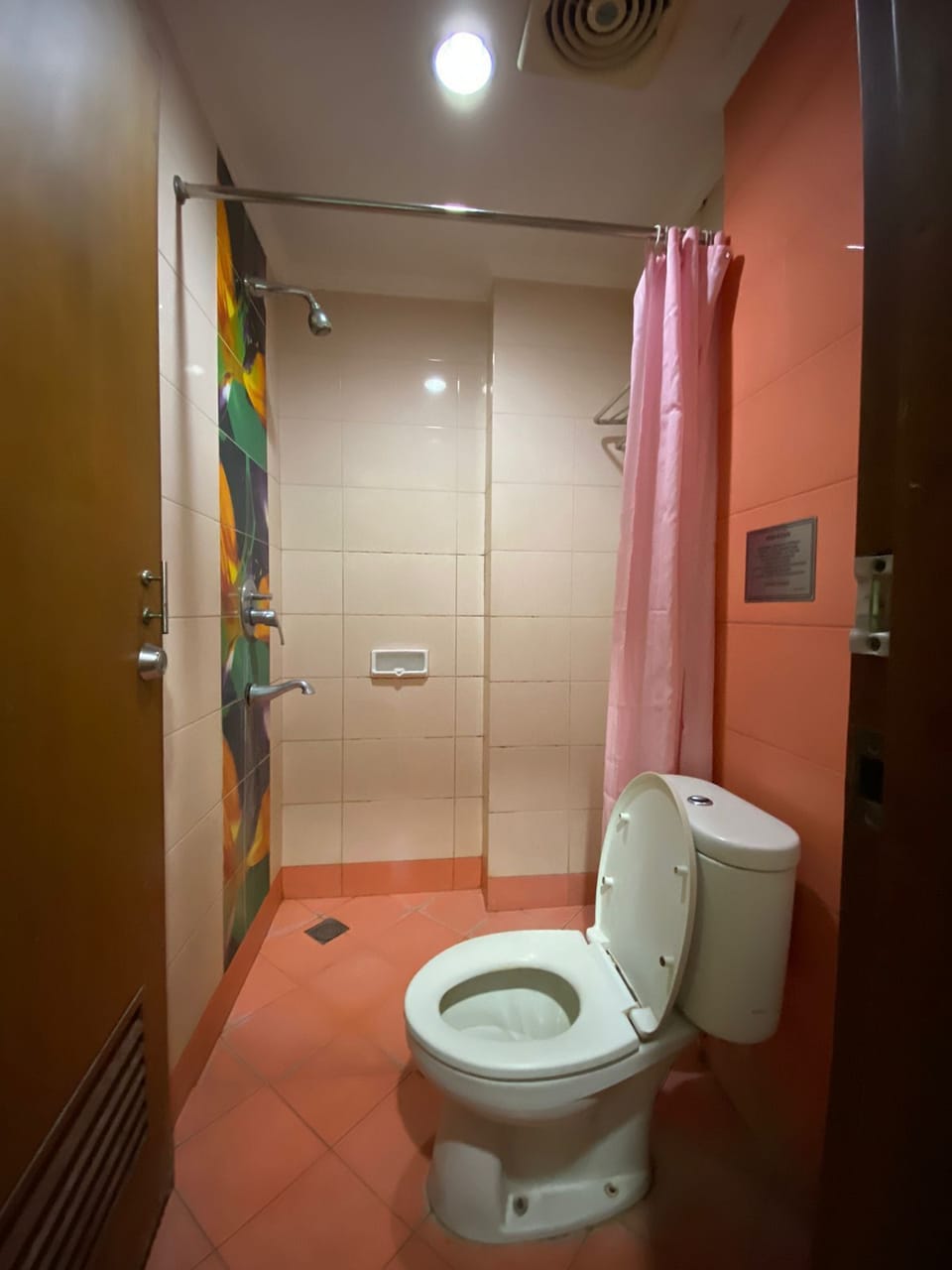 Shower, bidet, towels, soap