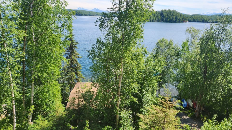 Lake view, looking down at the cabin. 