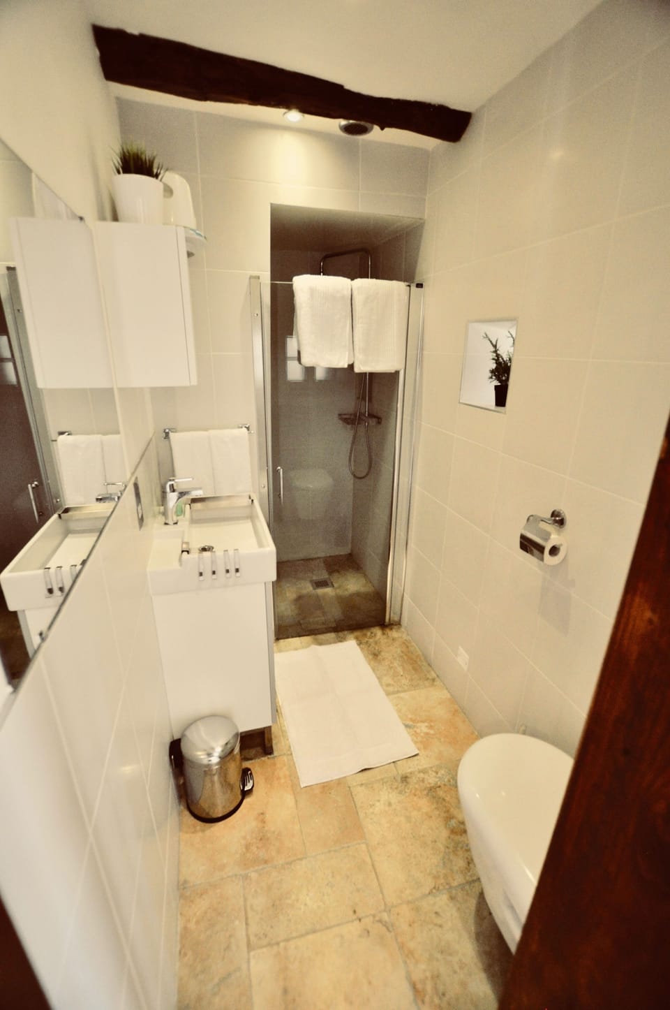 Modern bathroom with shower