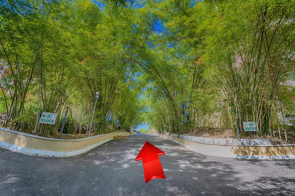 Driveway to the condominium 