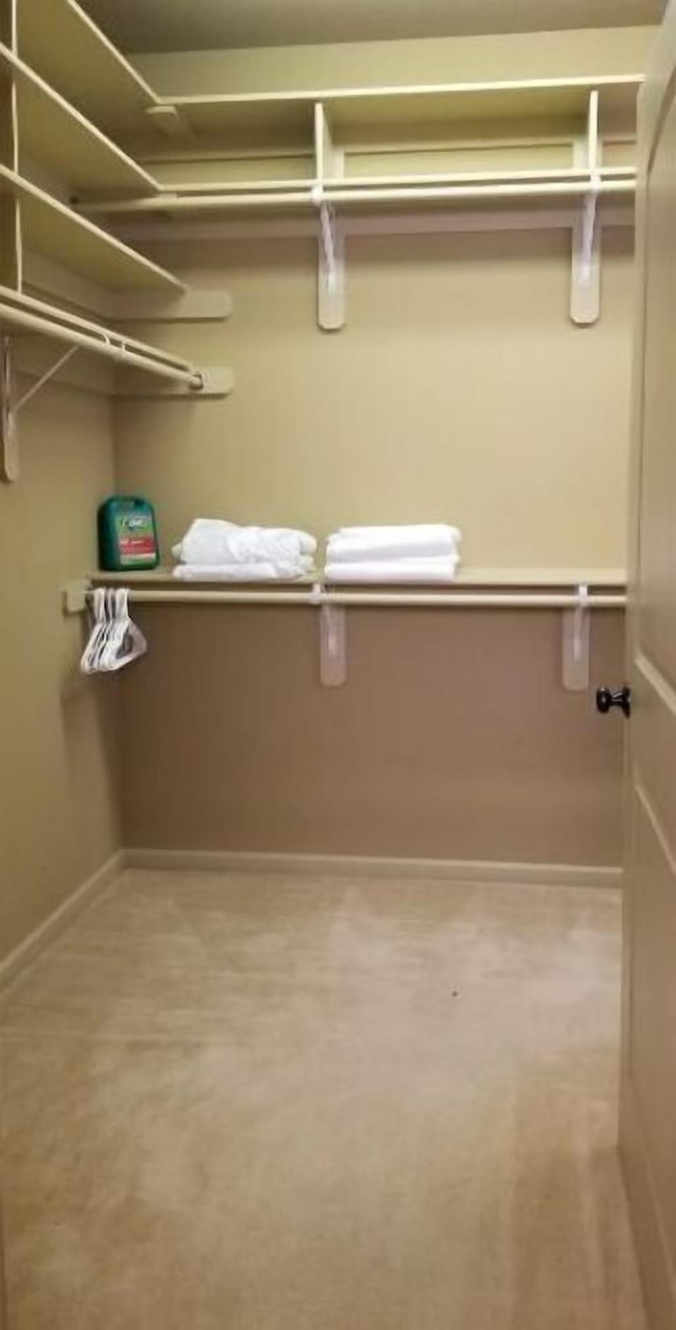 Main floor master bedroom king suit bathroom walk-in closet
