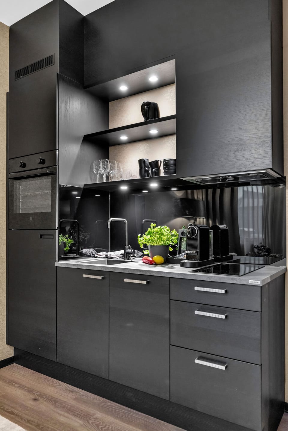 Studio | Private kitchen | Fridge, microwave, oven, stovetop