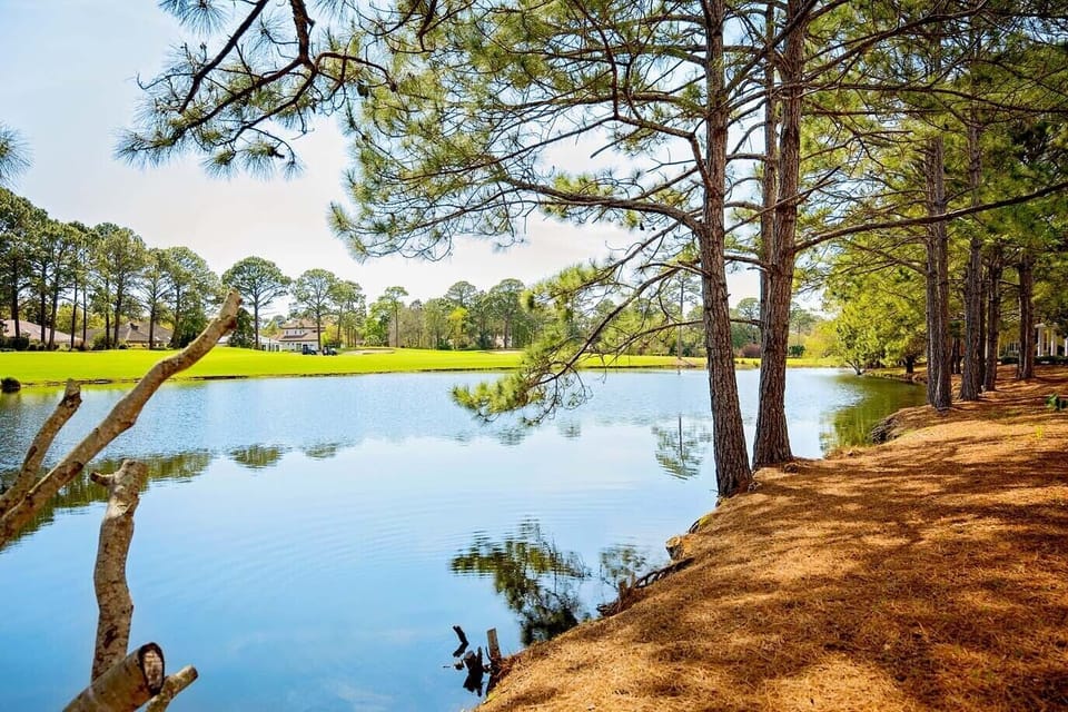 Laurel Grove Pond