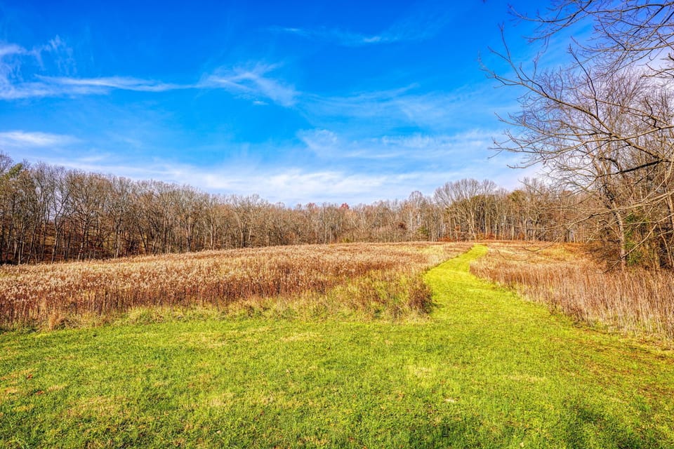 10 acres of land at Hocking Cottage