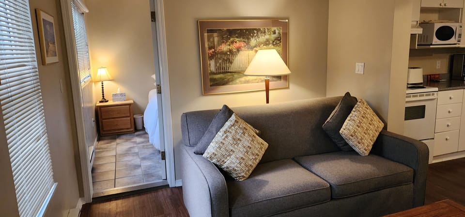 One Bedroom & Den Robson | Iron/ironing board, free WiFi, bed sheets