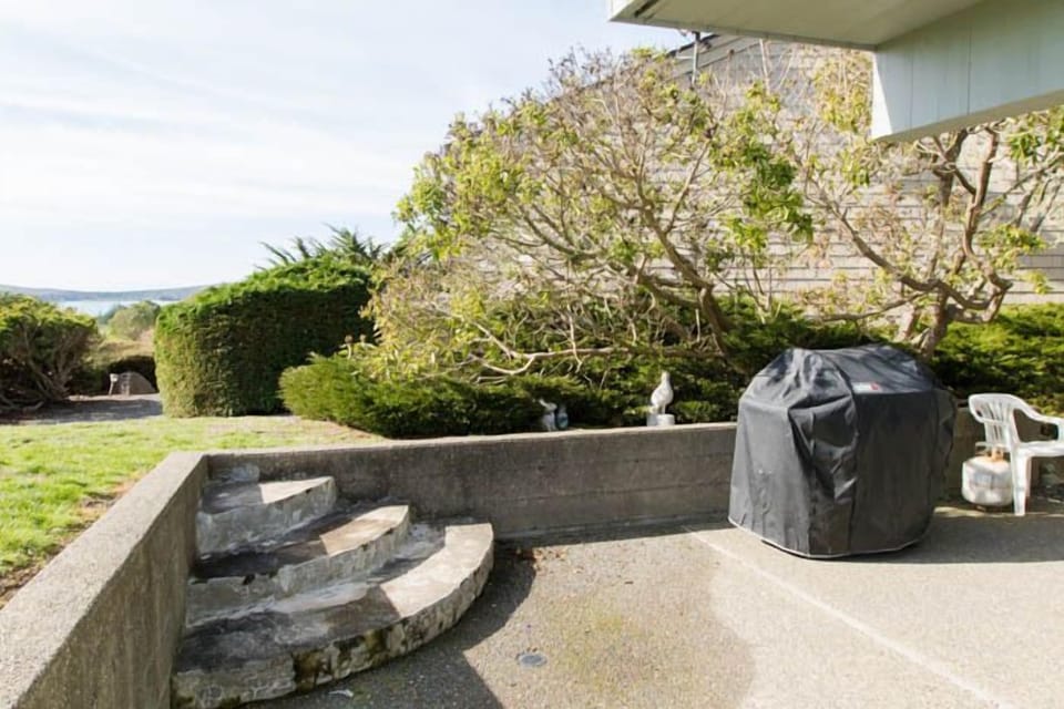 BBQ, Hot tub patio