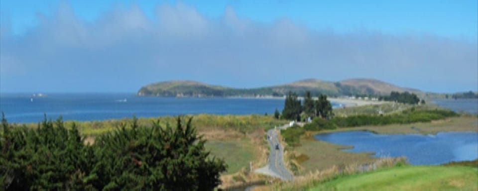 View from back deck