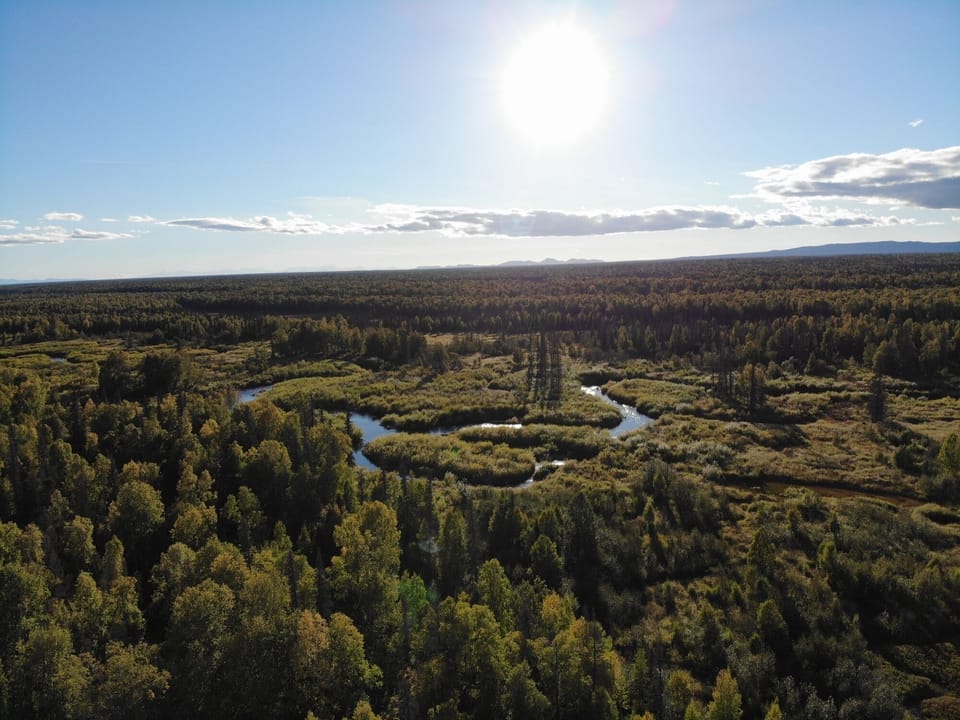 Ariel View