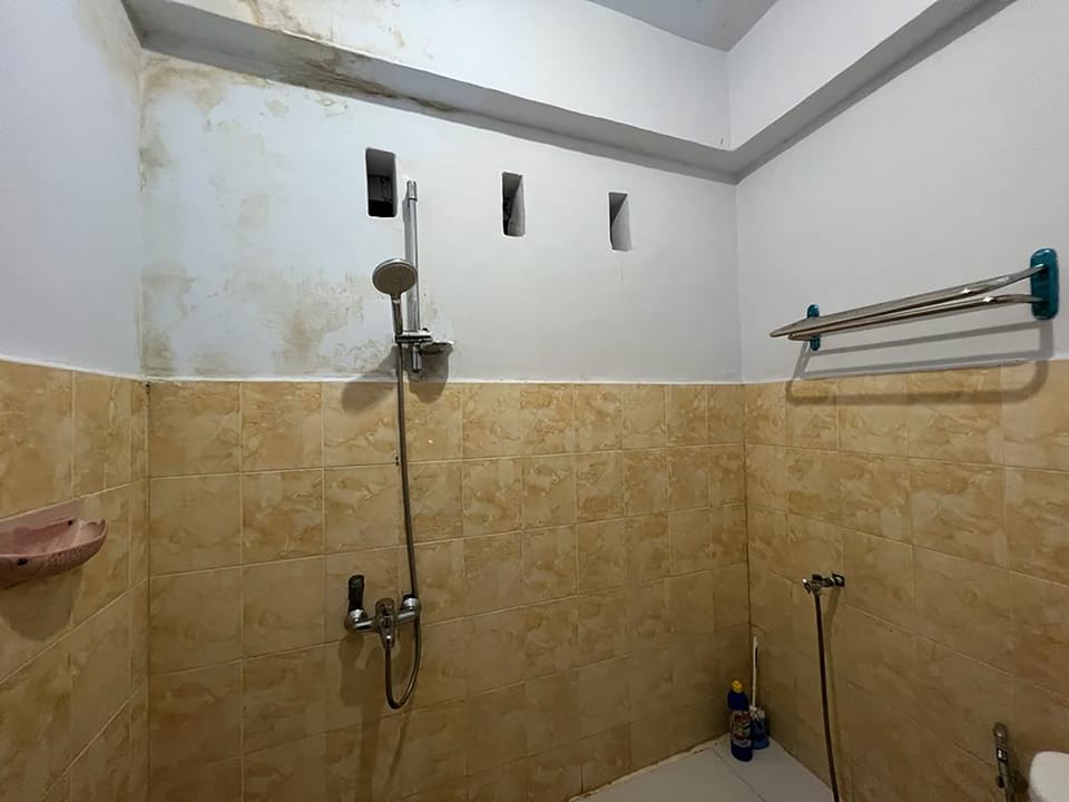 Shower, rainfall showerhead, towels, toilet paper