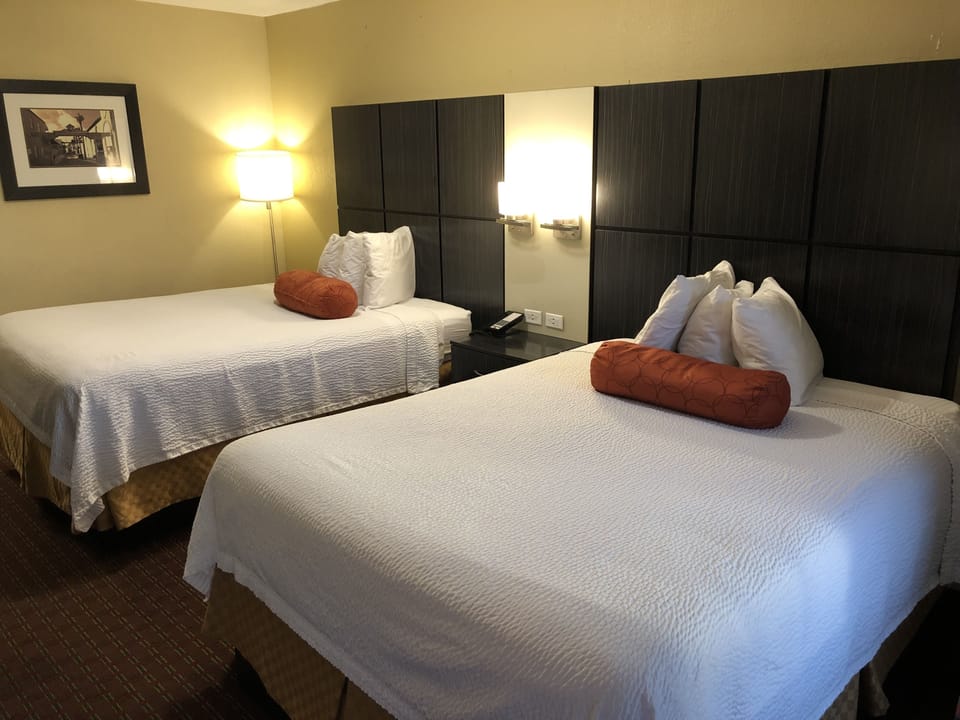 Standard Double Room, 2 Double Beds, Smoking | Premium bedding, down comforters, in-room safe, blackout drapes
