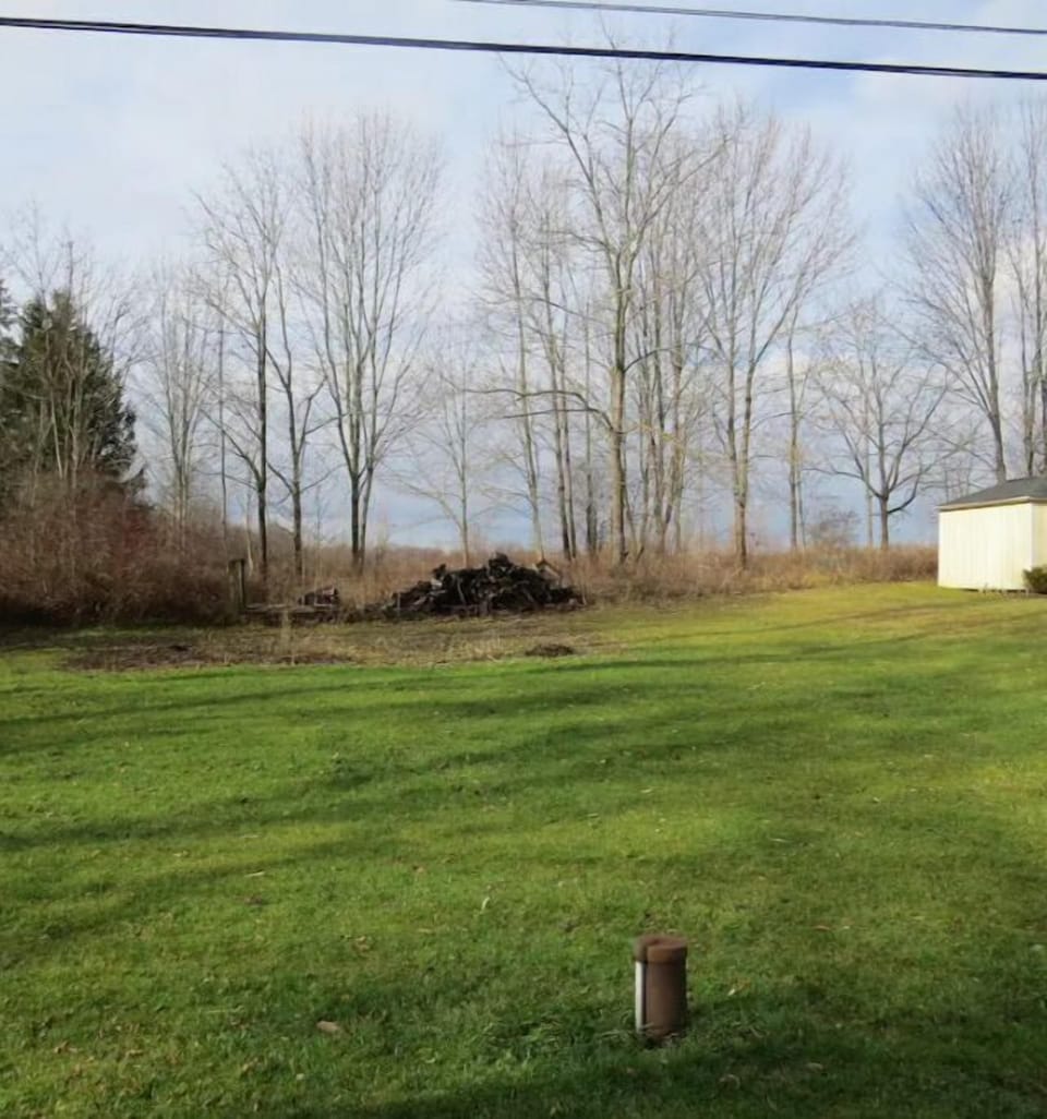 Back of property, lawn