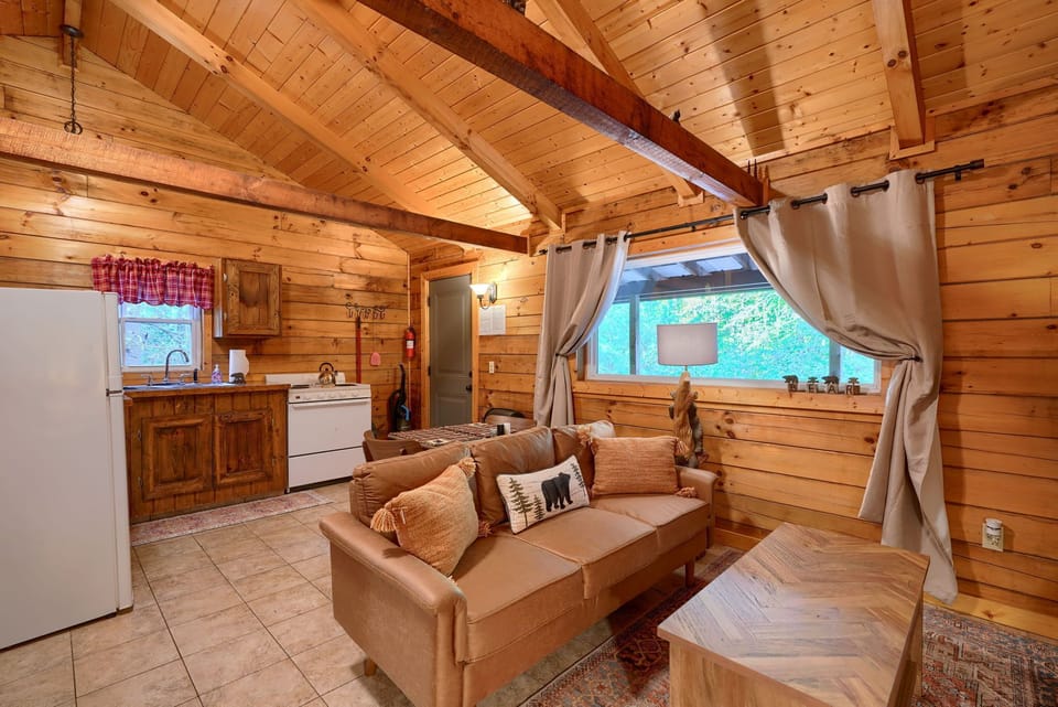 Living room / Kitchen