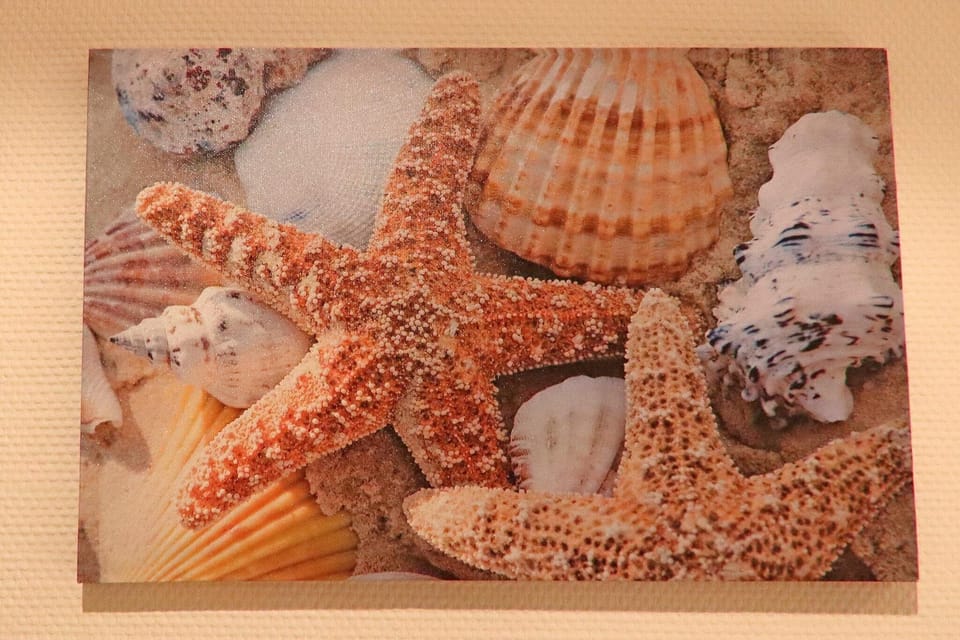 Ambiance / Close-up