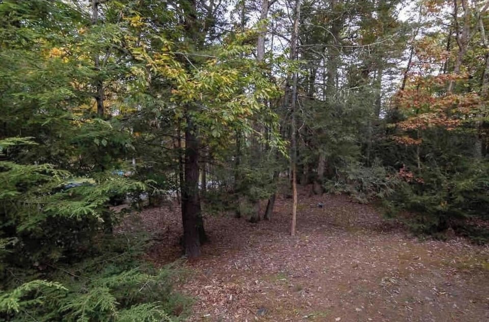 Cabin sits on an acre. Feel free to explore!