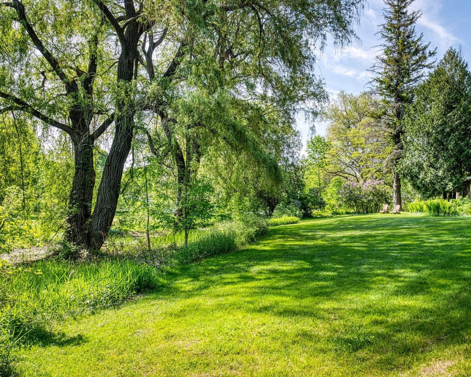 9508b7af-4cf4-4c05-a963-065184967ea5