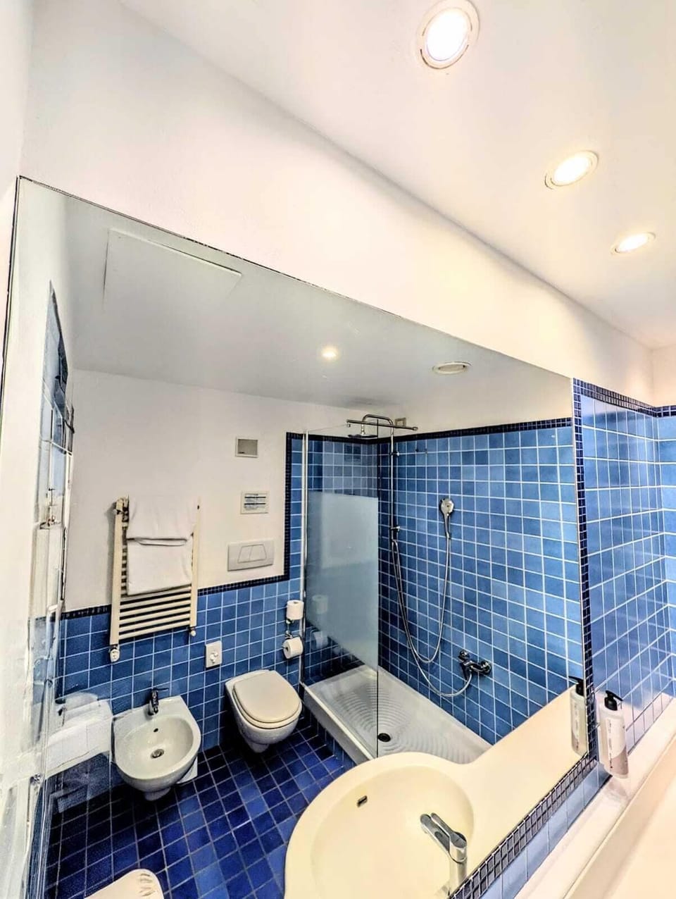 Free toiletries, hair dryer, bidet, towels