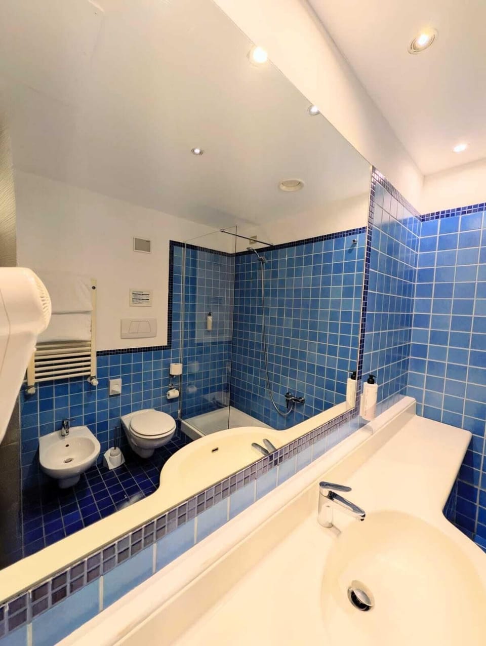 Free toiletries, hair dryer, bidet, towels
