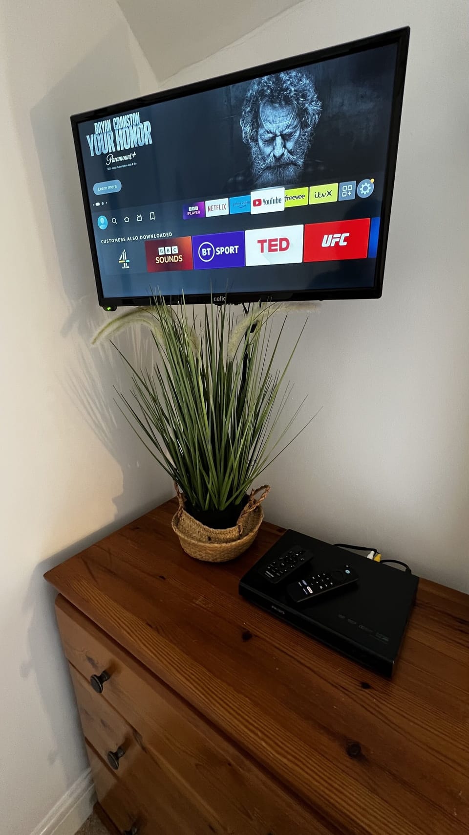 Television
