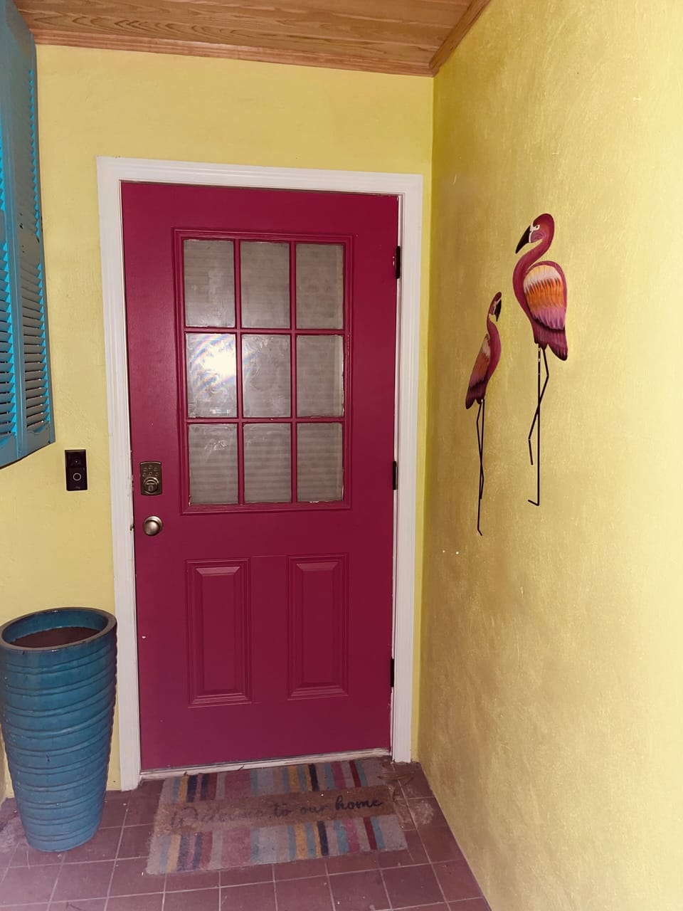 Flamingo Central awaits